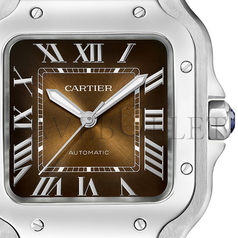 CARTIER SANTOS DE CARTIER WATCH WSSA0065